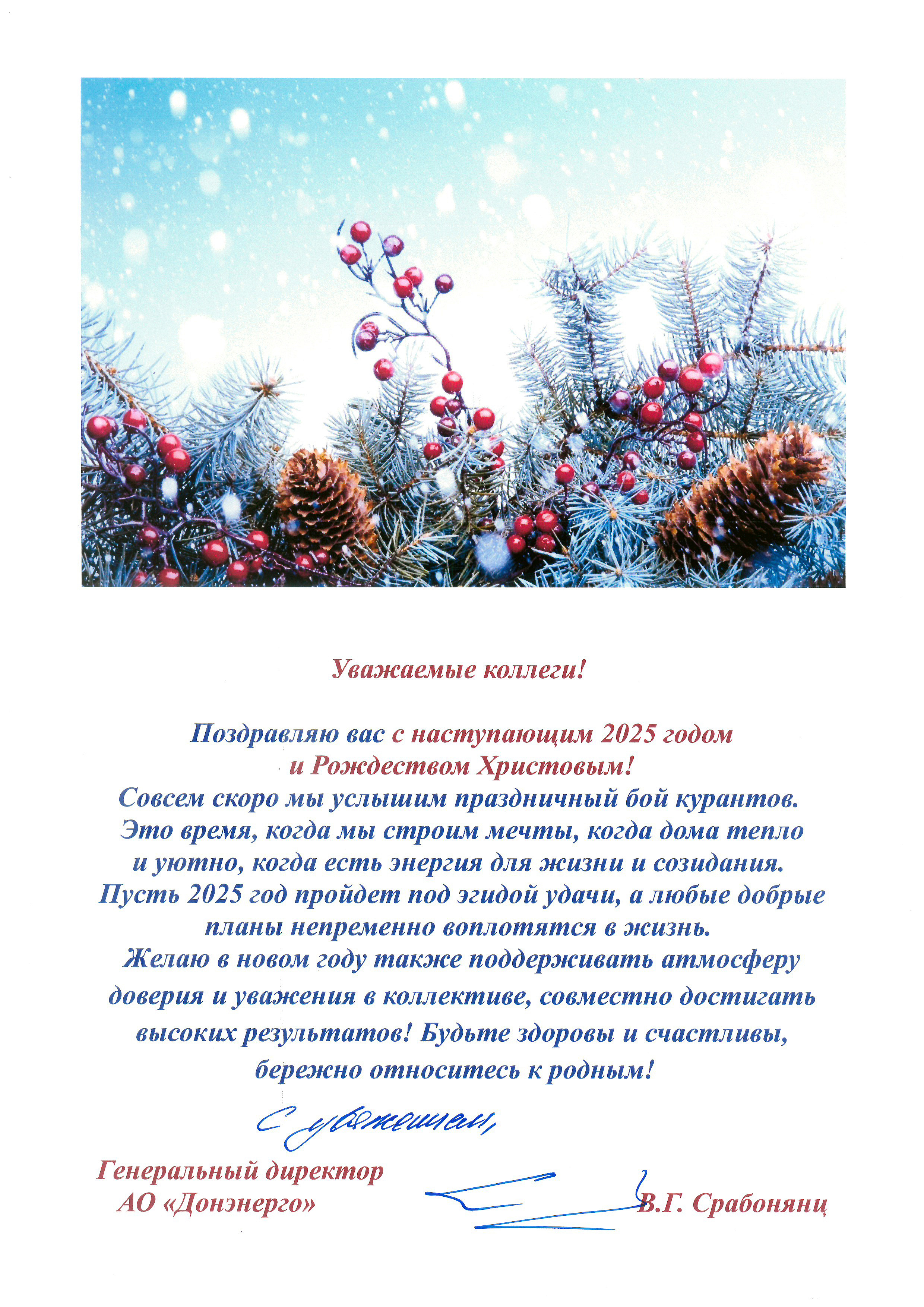 Поздравление генерального директора АО «Донэнерго» В.Г. Срабонянц с наступающим 2025 годом и Рождеством Христовым